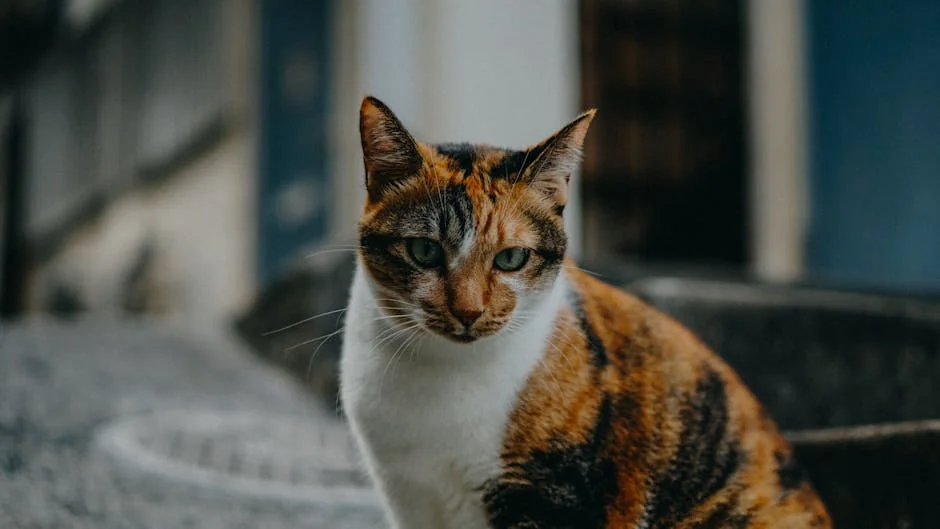 A detailed close-up portrait of a calico cat sitting outdoors, showcasing its unique fur pattern and intense gaze. - anime cat names
