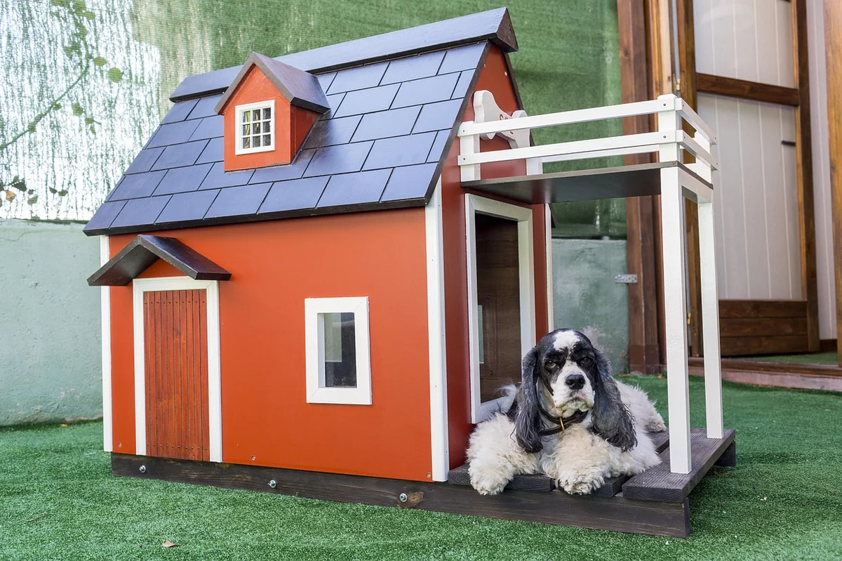 kennels for pets, pet, dog houses, animal, wooden houses for dogs, mascot, nature, dog, animals - food names for pets