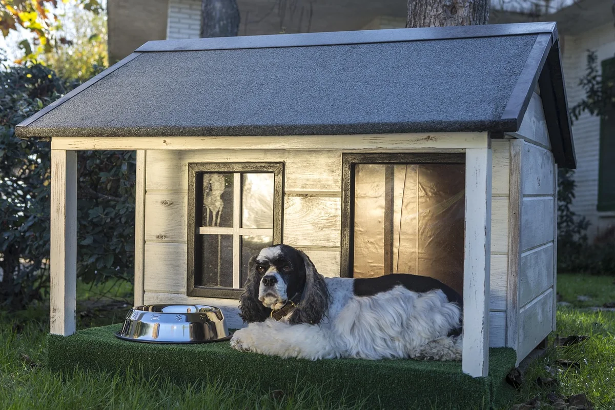 dog houses, wooden houses for dogs, kennels for pets, animal, dog, pet, mascot - food names for pets