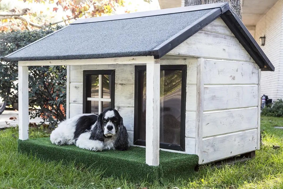 kennels for pets, dog houses, pet, wooden houses for dogs, nature, animal, mascot, dog, animals - food names for pets