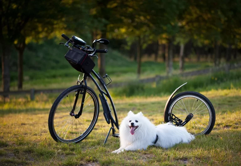 food names for pets: 250+ Cute Naming Ideas: Essential Tips