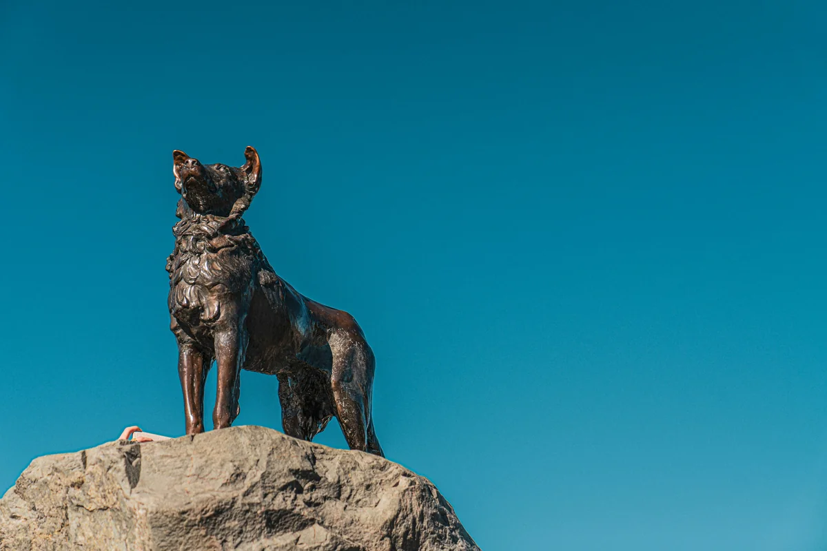a statue of a dog on top of a rock - greek mythology names for male dogs