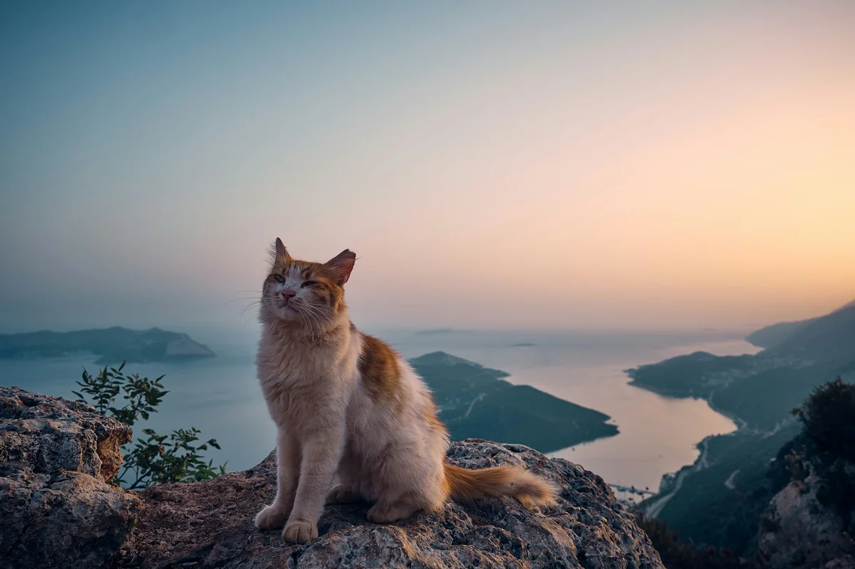 chillin - greek mythology pet names
