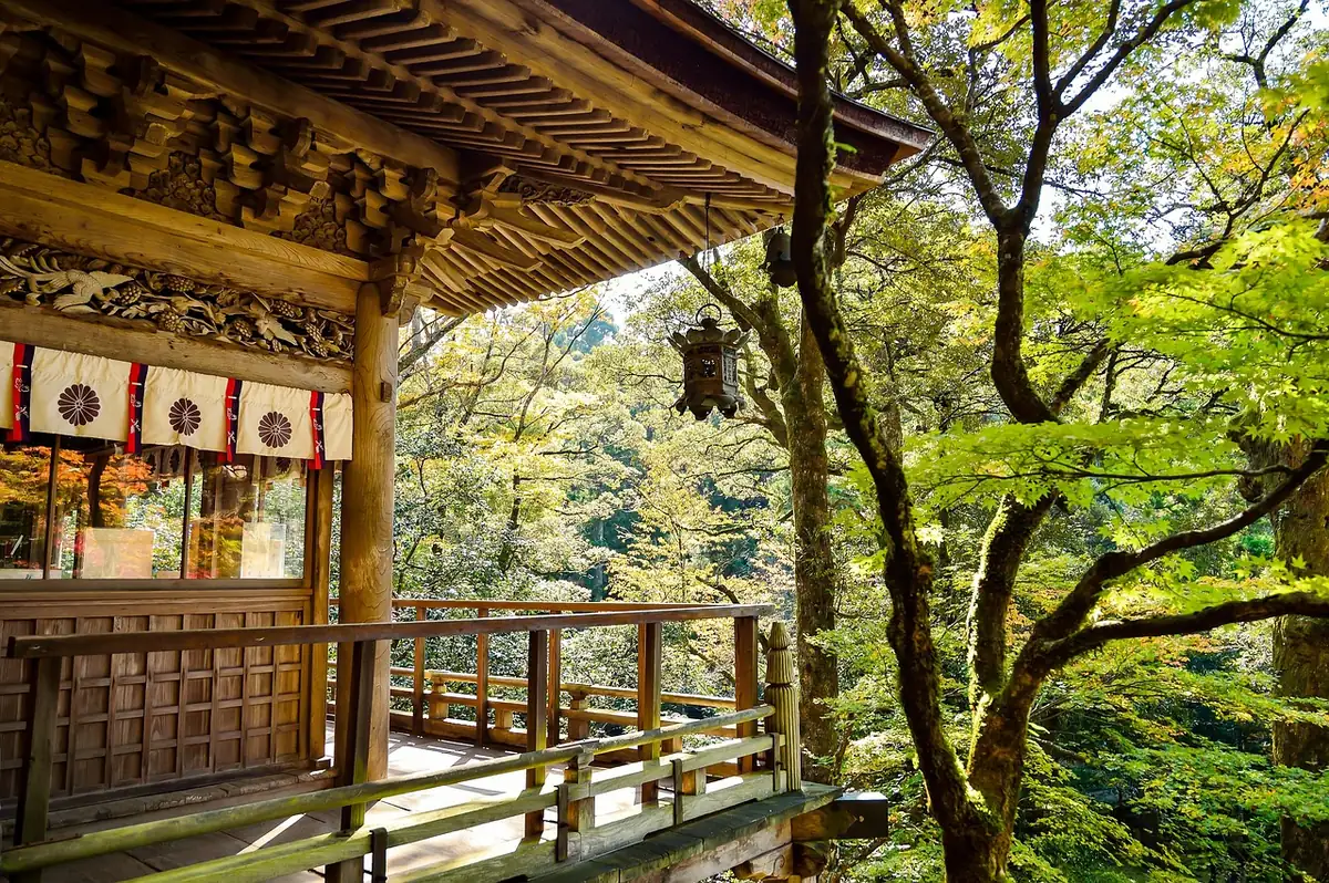 japan, landscape, natural, outdoor, japanese landscape, k, green, japanese culture, temple, tourist destination, wood, autumn, japan, japan, japan, japan, japan - japanese dog names with meaning