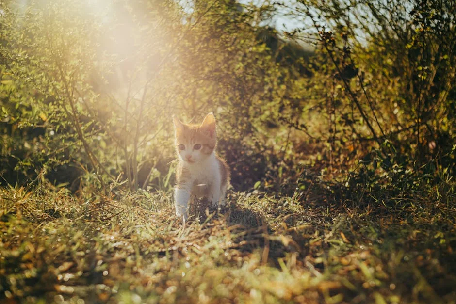 Charming ginger kitten exploring a sunlit meadow, surrounded by green foliage and golden sunbeams. - nature inspired pet names