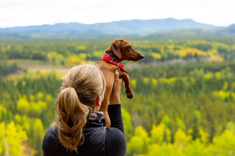 A woman lifts her dachshund, gazing over the breathtaking autumn landscape of Bragg Creek, Canada. - nature inspired pet names