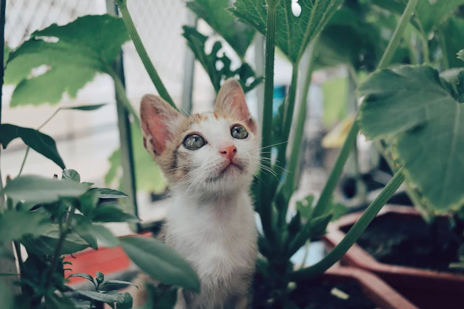Close-up of a curious kitten surrounded by vibrant green plants, exploring the garden. - nature inspired pet names