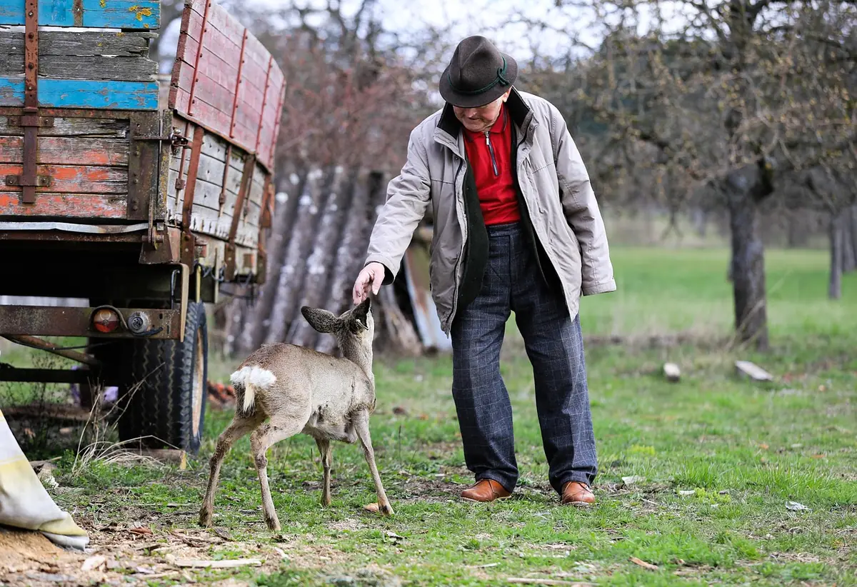 old man, love, old age, human, roe, deer, farm, pet, old man, old man, old man, old man, old man, human, human, human - old man names for dogs