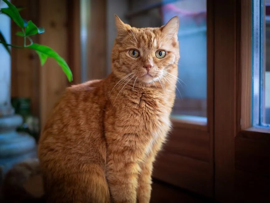 Adorable orange tabby cat sitting indoors, staring at the camera. Perfect pet photography. - orange tabby cat names funny