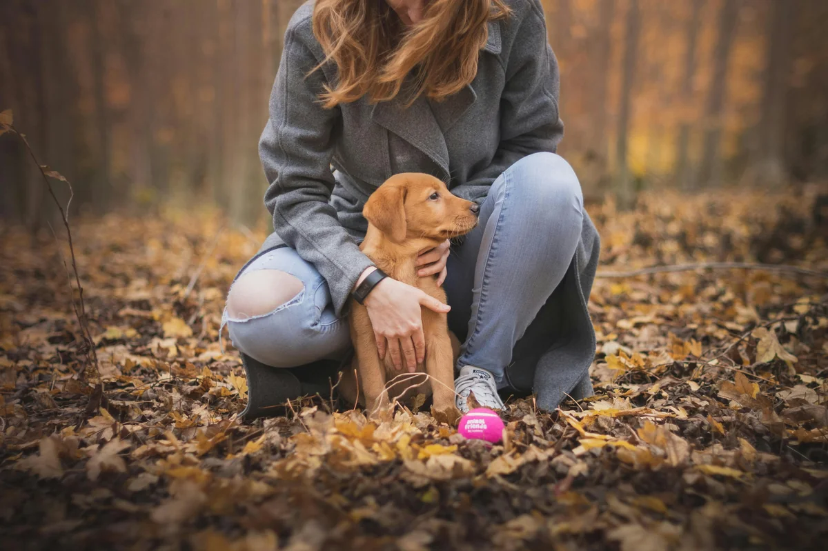person holding puppy - royal sounding names for female pets