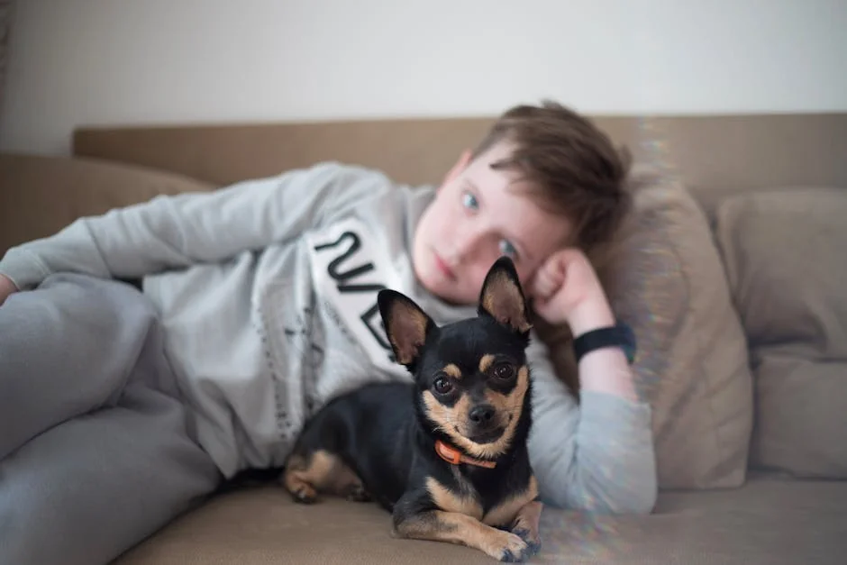 Young boy and Chihuahua relaxing on a sofa, capturing a cozy indoor moment. - small dog names boy