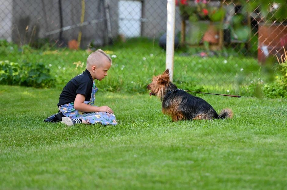 A young boy and a dog enjoy a sunny day outdoors in Tallinn, Estonia. - small dog names boy