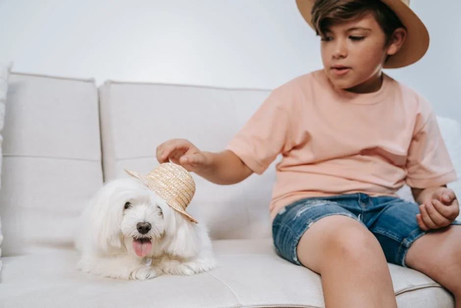 A cute boy and his fluffy white dog enjoy playful time on the sofa indoors. - small dog names boy