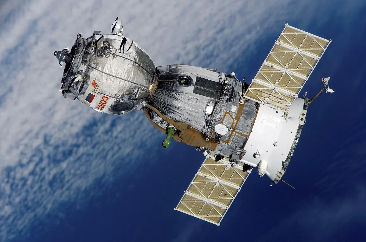 Space Themed Pet Names: 12 Best for Dogs, Cats, and More - space themed pet names