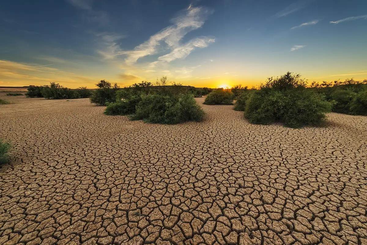 drought, dehydrated, clay floor, earth, cracked, cracks, dry, hot, loneliness, devastated, nature, plant, soil, landscape, bushes, brown nature, brown earth, brown landscape, brown plant, brown plants, brown natural, drought, drought, drought, drought, drought, earth, earth, earth, soil - tough names for pitbulls male