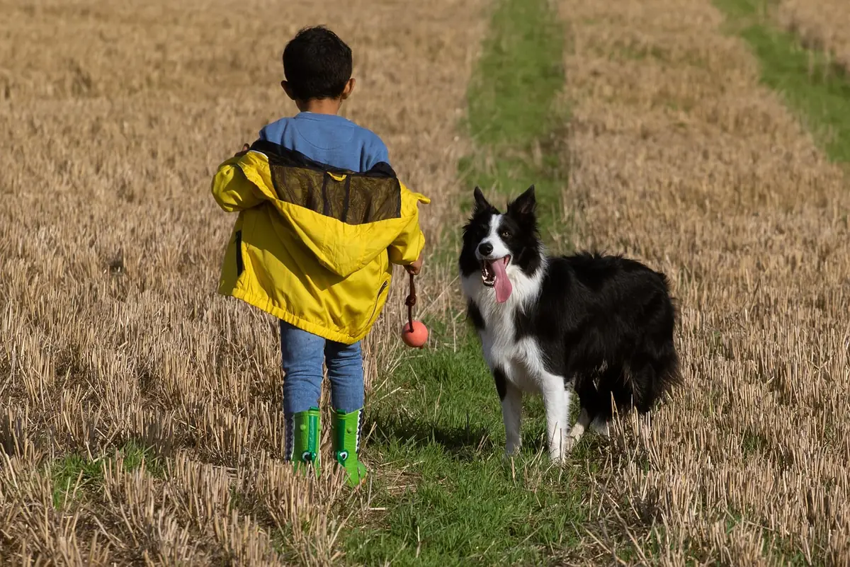 boy and dog in field, boy and dog, boy in yellow, child and dog, boy and dog standing, boy and dog playing, canine, animal, young, pet, play, child, dog - unique boy dog names