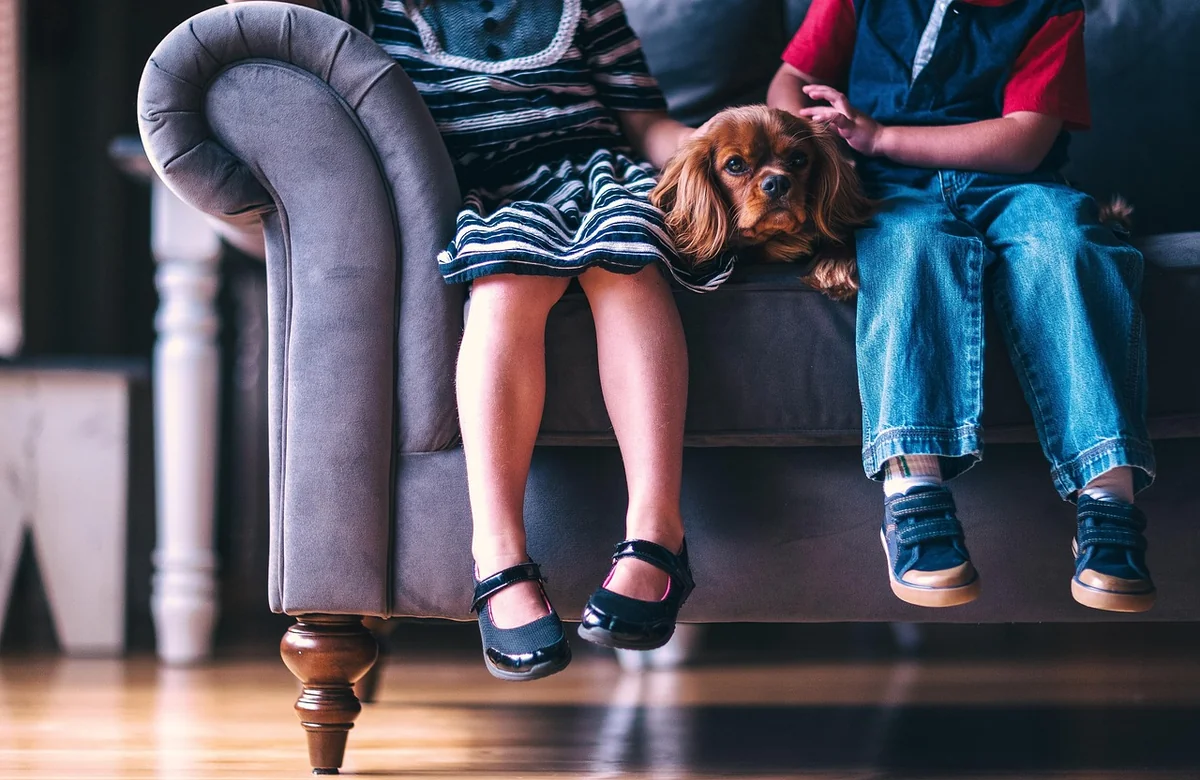 children, dog, pet, cute, animal, footwear, girl, boy, kids, people, shoes, sitting, sofa - unique boy dog names