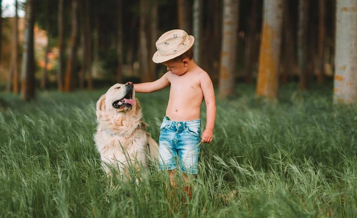 child, dog, field, boy, friends, love, young, kid, pet, animal, cute, meadow, grass, nature, outdoors, dog, dog, dog, dog, dog, boy, love, nature - unique boy dog names