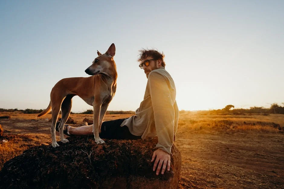 A man and his dog relax on a rock in the countryside during sunset, capturing a serene and leisure-filled moment. - unique male dog names with meaning