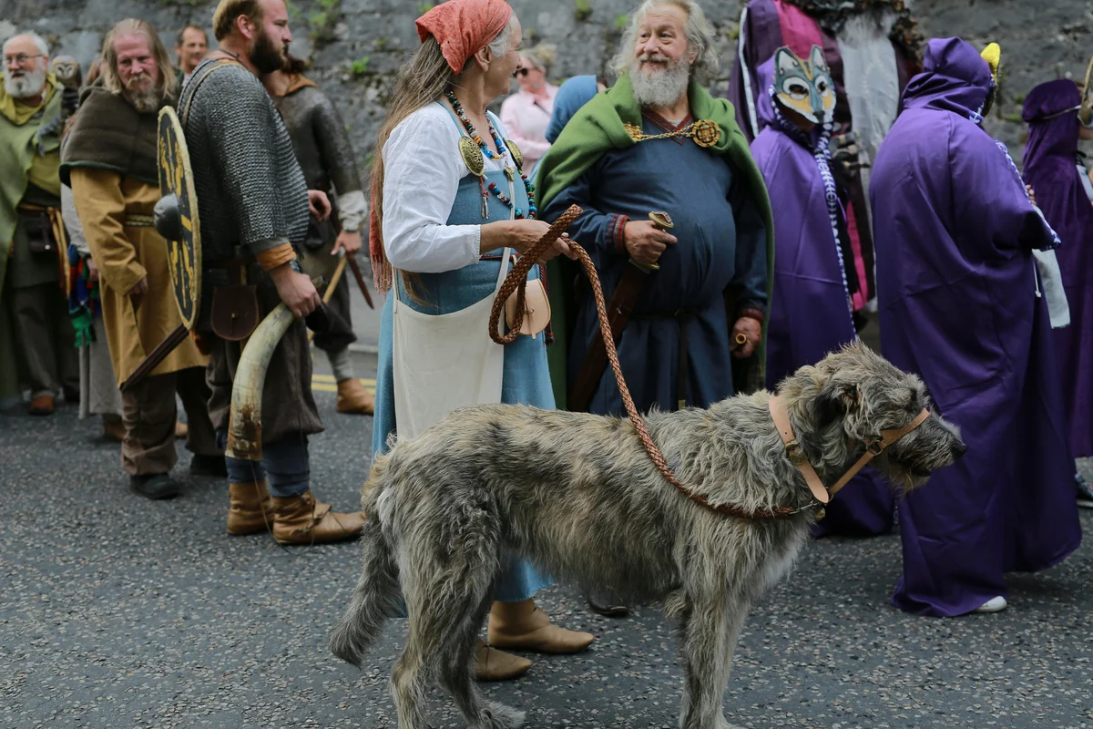 People in historical costumes with a large dog - viking dog names