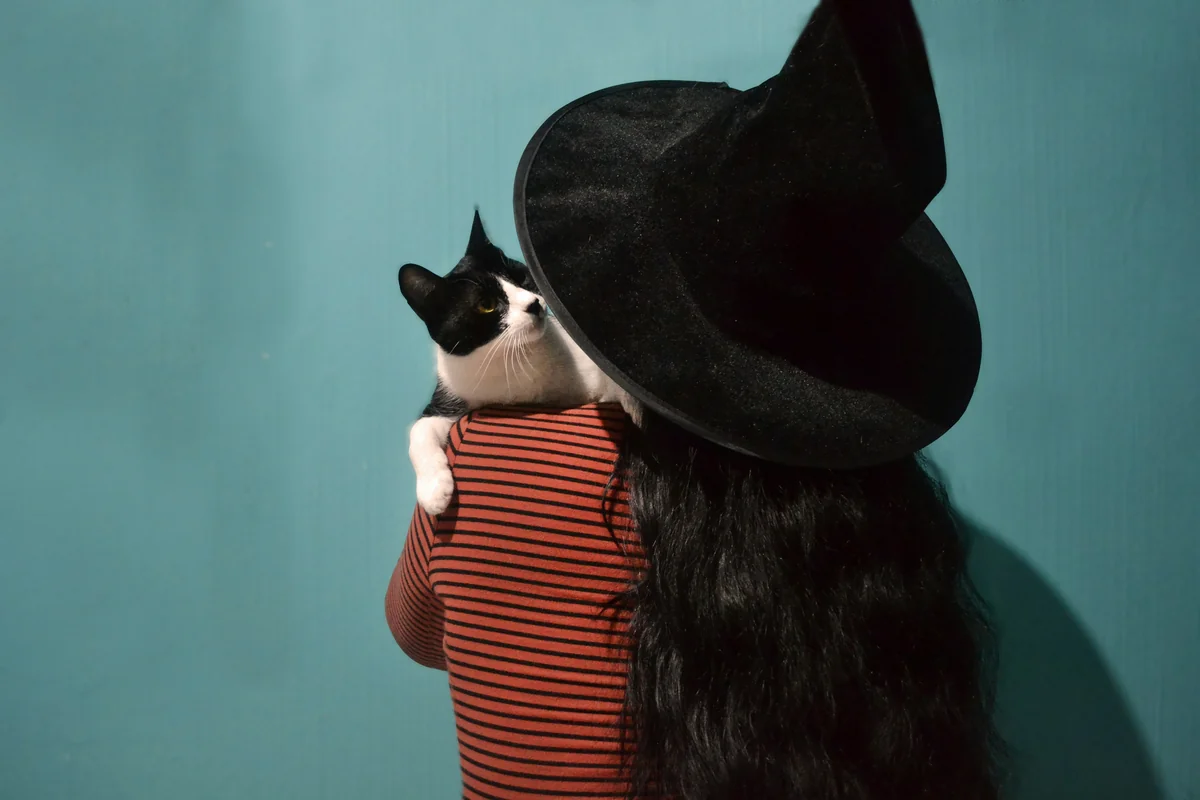 Witchy Cat Names: 150 Best Magical Ideas for Your Cat - witchy cat names